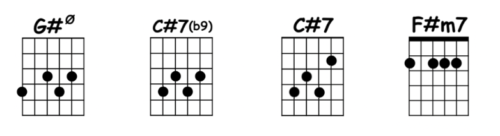 jardin d'hiver chords